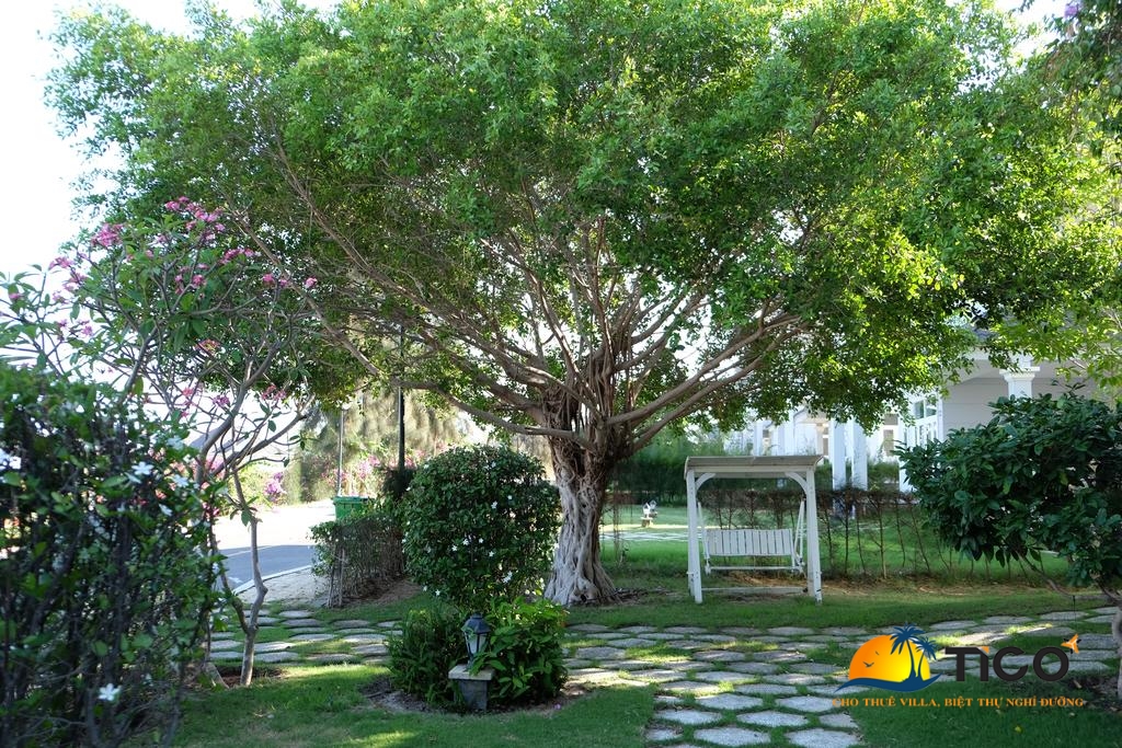villa mui ve 7 (3)