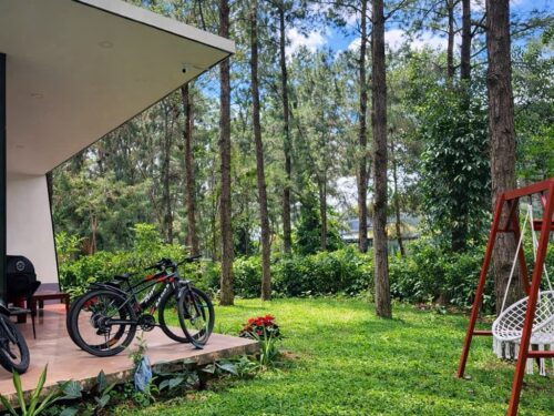 Villa Flamingo Đại Lải Hill Top HT231 1 phòng ngủ view đồi thông