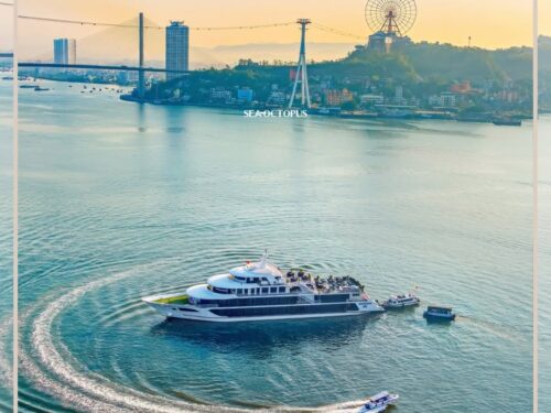Du Thuyền Hạ Long Sea Octopus Day Cruise trên Vịnh Hạ Long